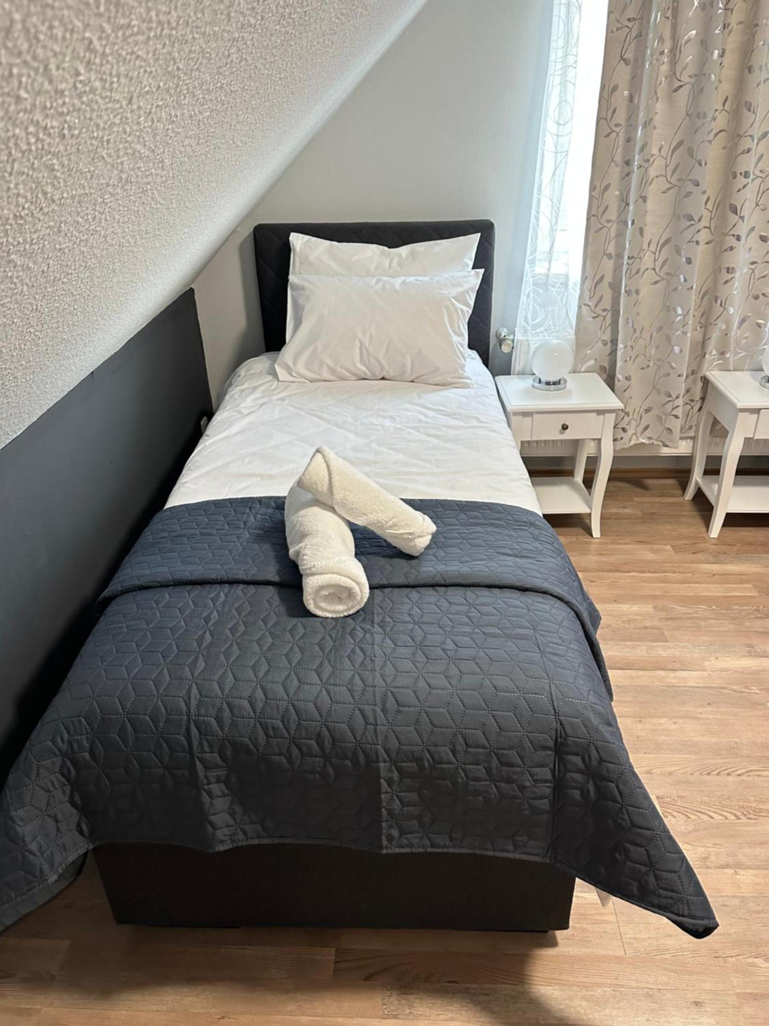 Ferienwohnung Bx Plauen Dış mekan fotoğraf