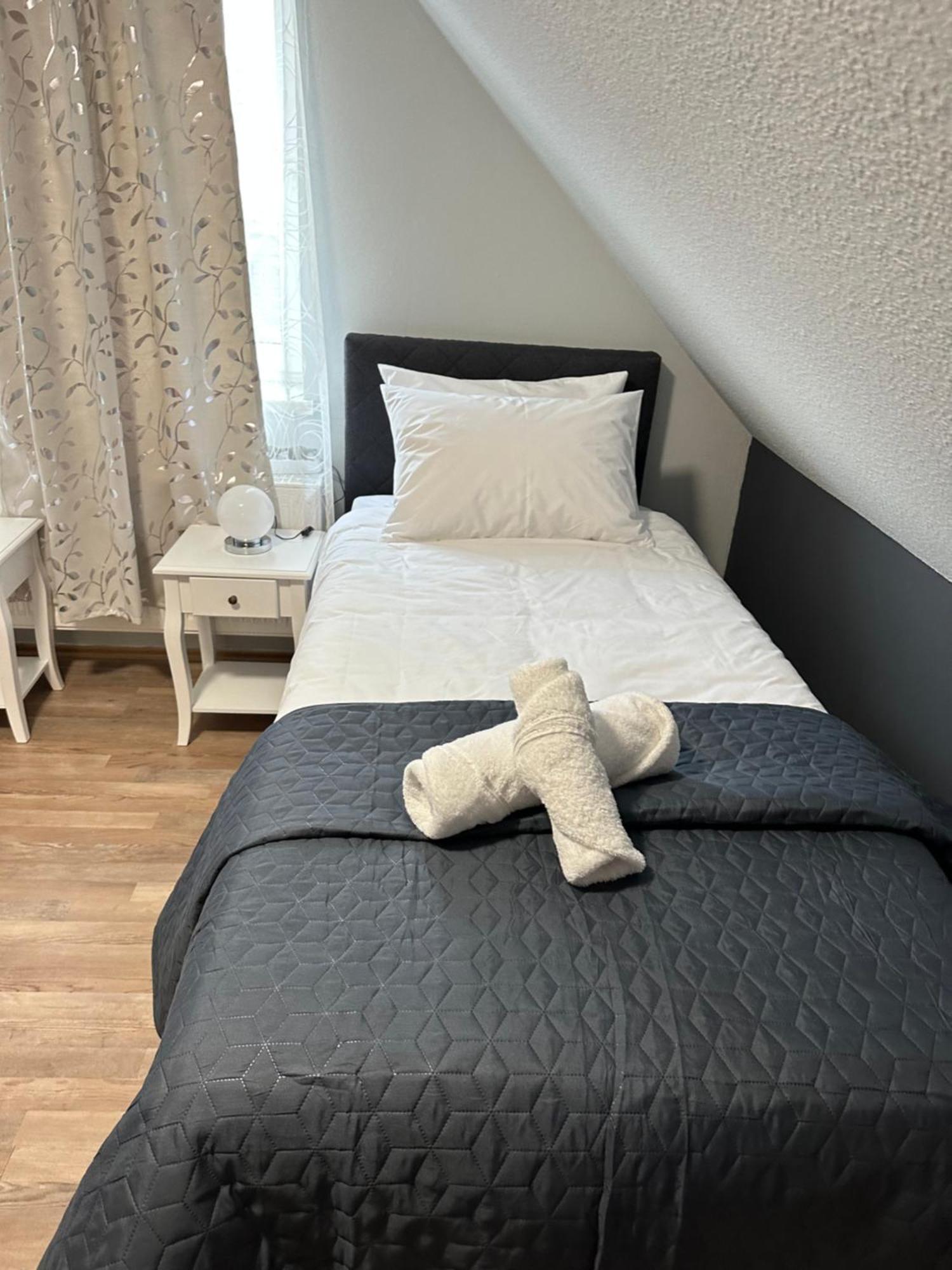 Ferienwohnung Bx Plauen Dış mekan fotoğraf