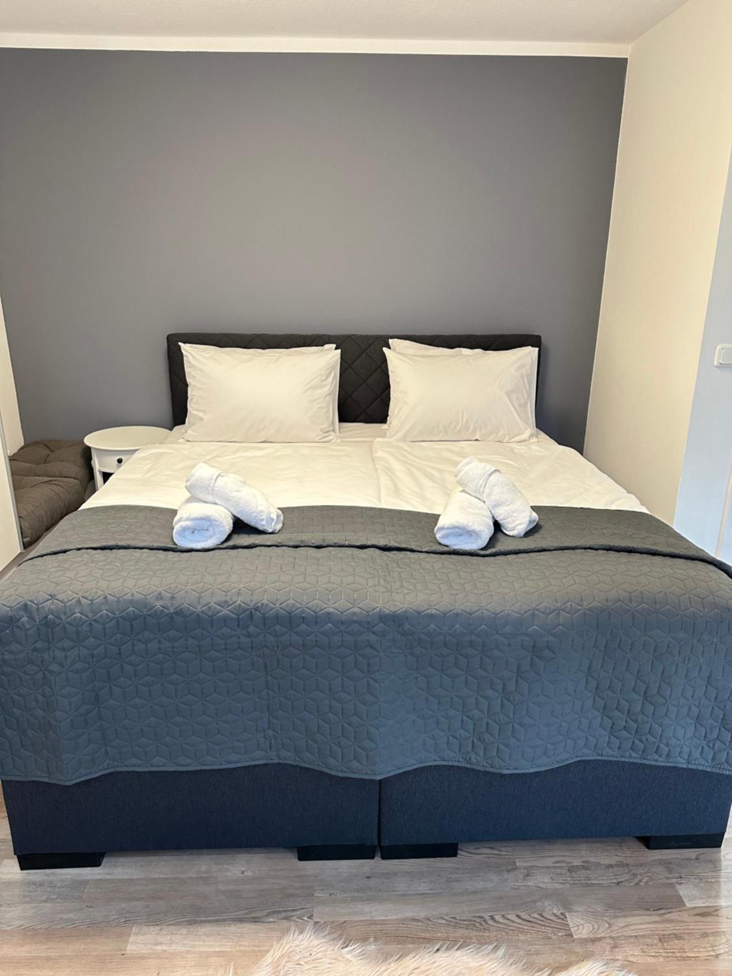 Ferienwohnung Bx Plauen Dış mekan fotoğraf
